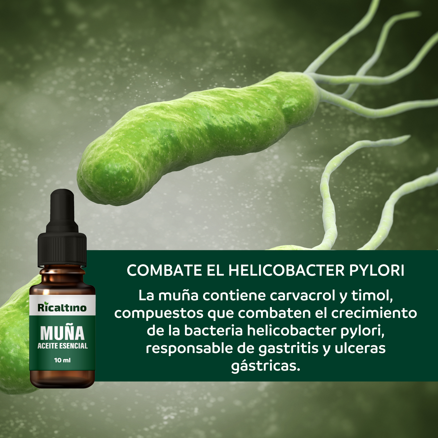 Aceite Esencial de Muña 100% puro Ricaltino 10ml