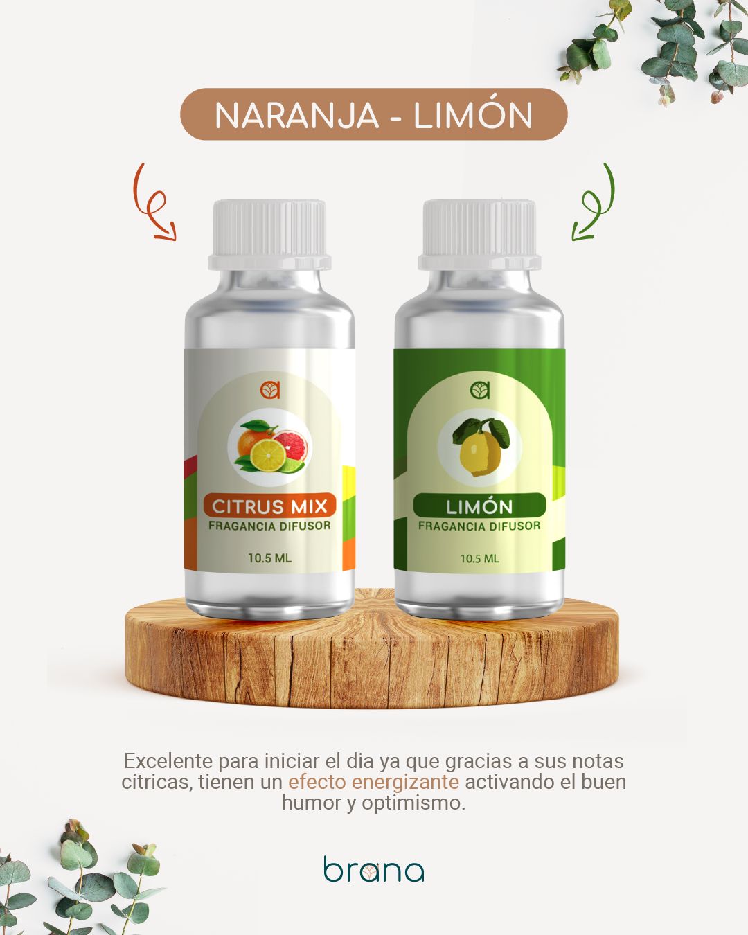Fragancias para difusor con caja y gotero Brana 10.5 ml - Aromas variados