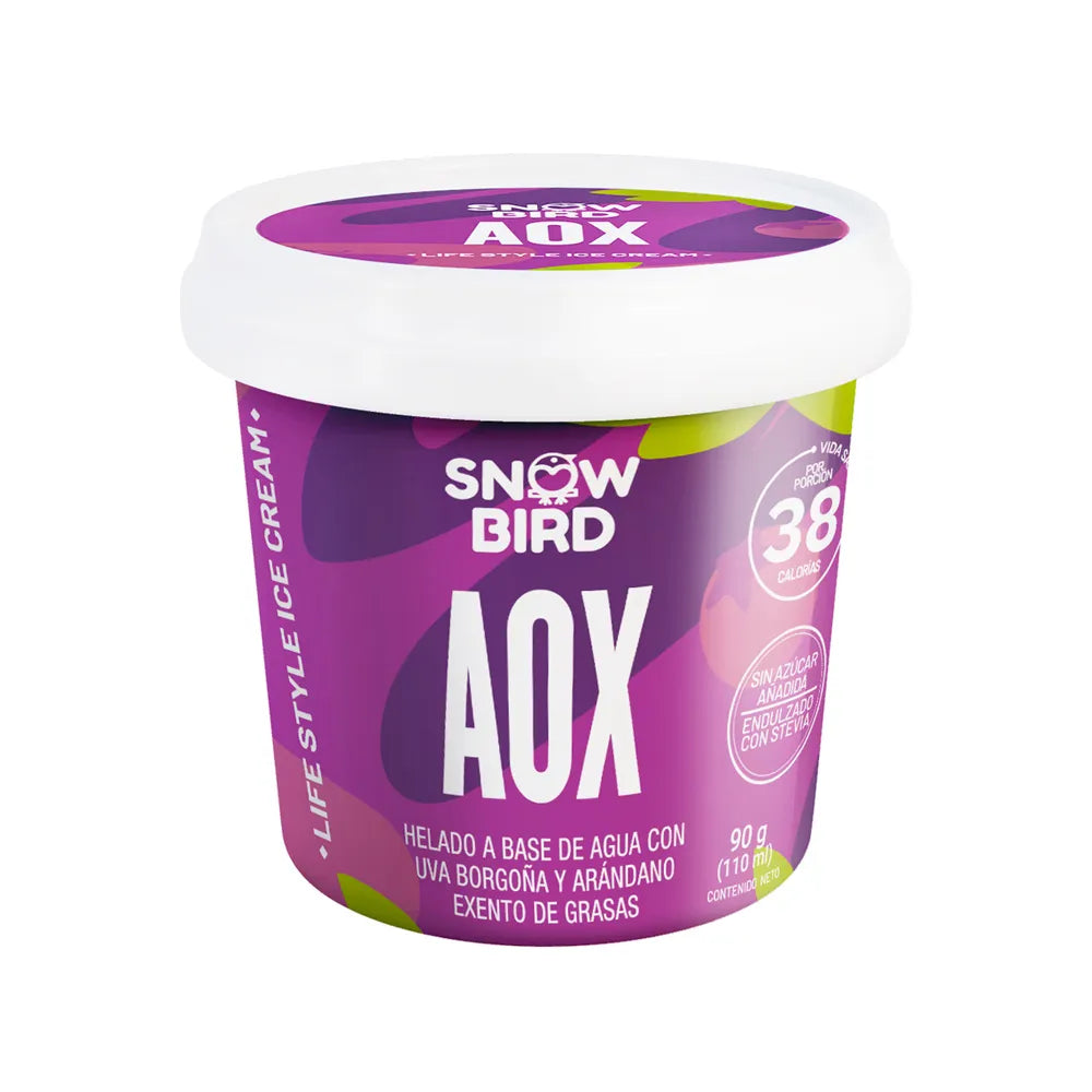 Helado fitness de uva borgoña y arándano Snow Bird  110ml